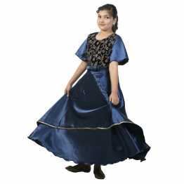 Navy Blue Velvet Long Gown